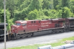 CP 8835